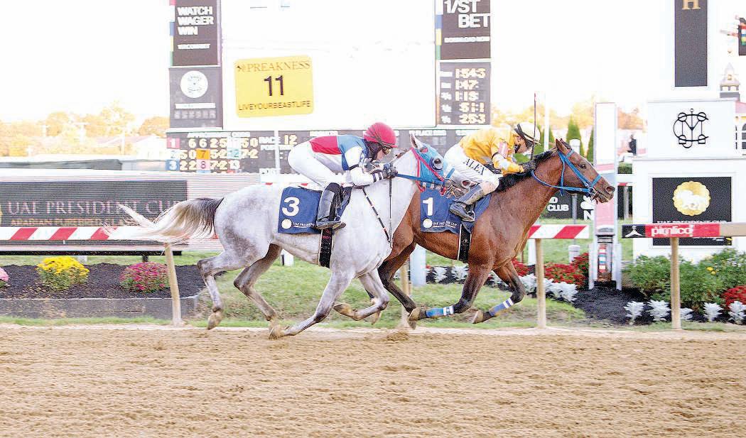 UAE President's Cup showcases elite Purebred Arabians on Preakness Stakes