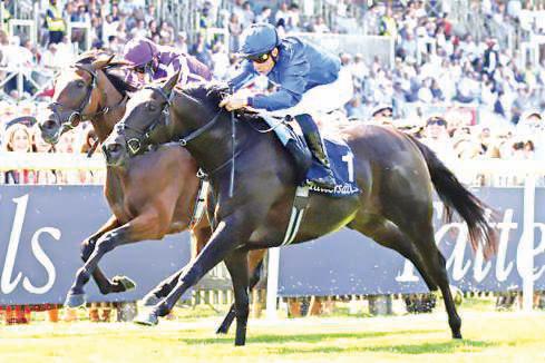 Cinderella's Dream comes true in Falmouth Stakes