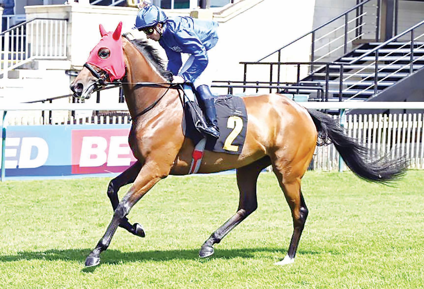 Silent Love prevails at Chalice Stakes discreetly in Newmarket