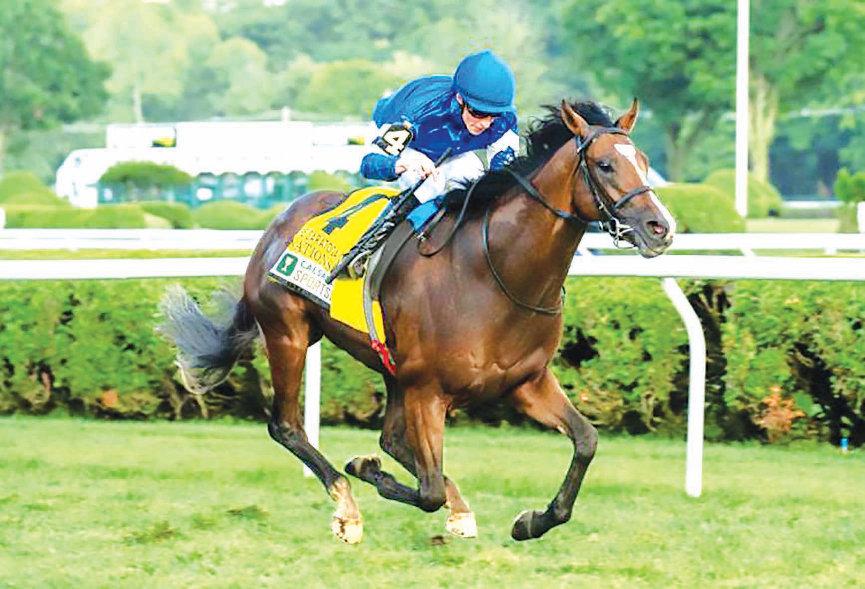 Nations Pride and El Cordobes duel for G1 Sword Dancer glory