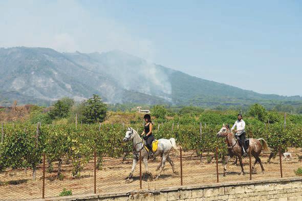 Mount Vesuvius closed to tourists over wildfire