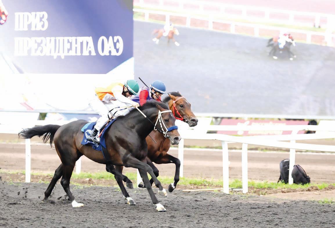 Tawfiq triumphs at UAE President's Cup for Purebred Arabian Horses race in Kazan