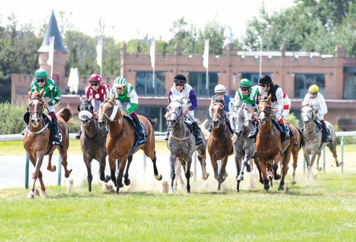 Strong field for UAE President's Cup for Purebred Arabian Horses race in Belgium