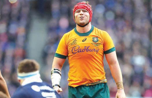 Australia's coach Schmidt warns of 'super tough' Argentina challenge