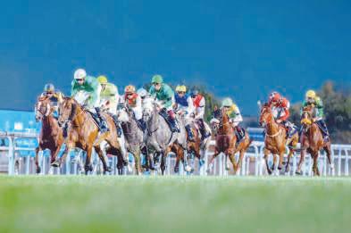 UAE's horse racing season to begin in capital today