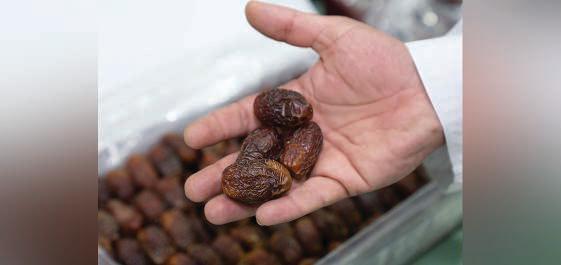 Al Dhafra Dates Festival, a top heritage event