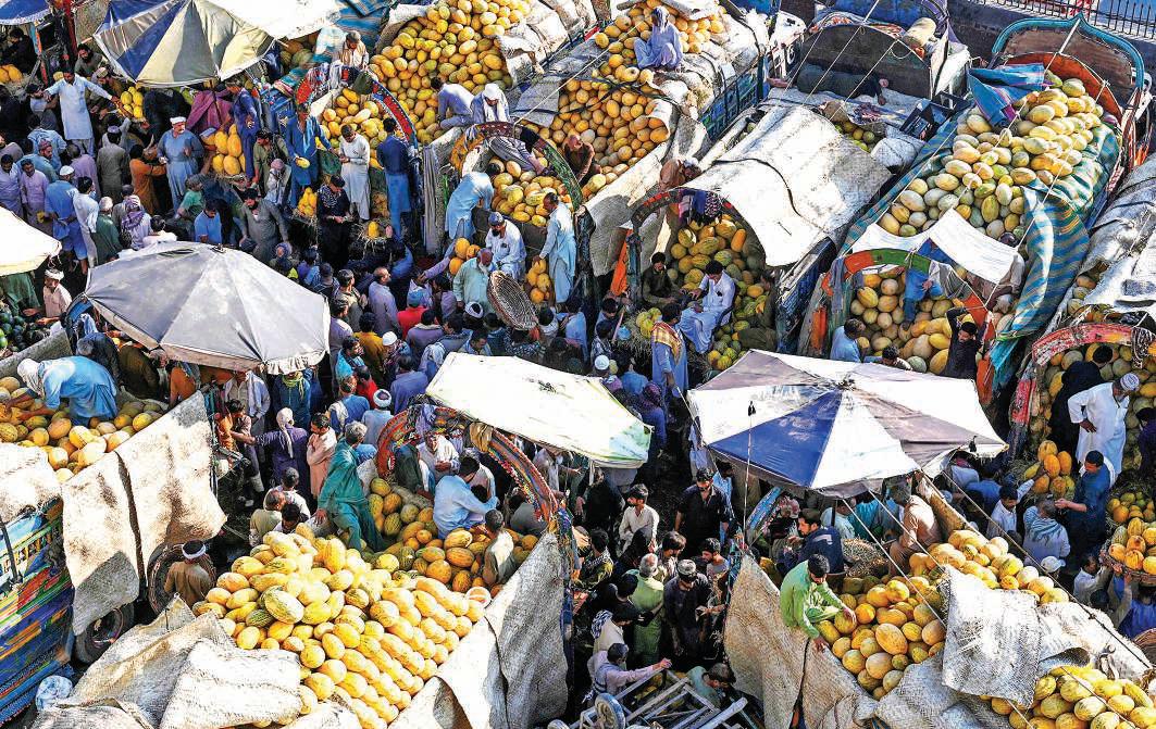 Pakistan CB holds interest rate at 11% for fourth time in a row