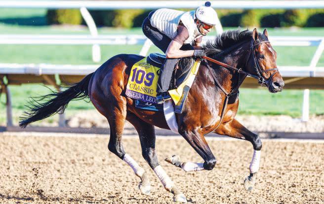 Sierra Leone chases rare repeat in Breeders' Cup Classic at Del Mar