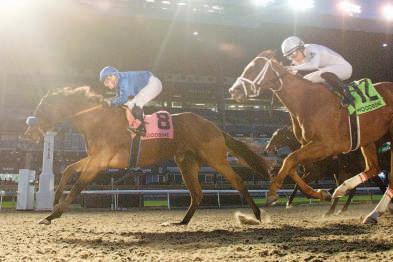 Pondering claims G3 Bessarabian Stakes