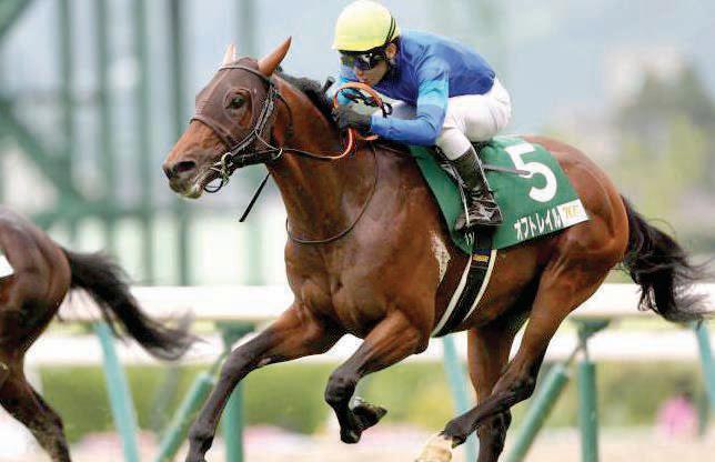Montador and Chapman's Peak target G3 glory