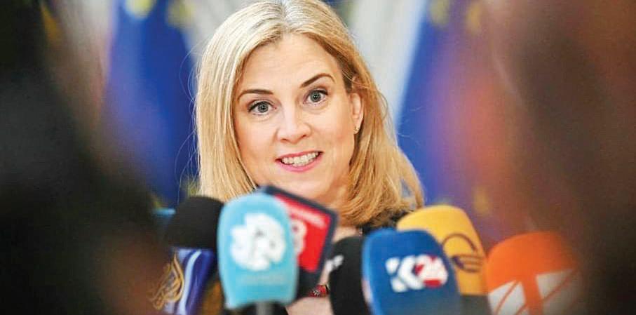 Austrian FM backs EU-Mercosur trade deal