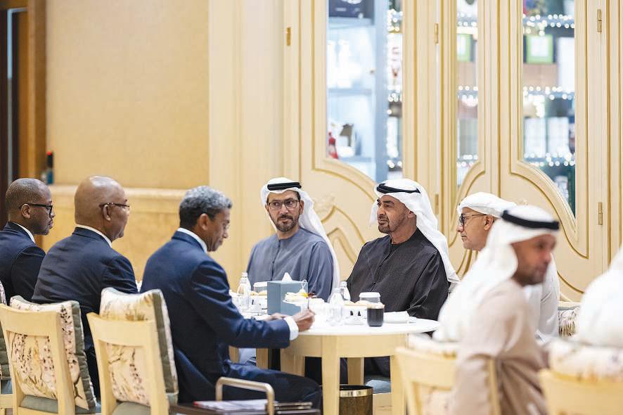 UAE, Seychelles leaders discuss ties