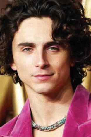 Backlash against Club Chalamet reveals fandom hypocrisy