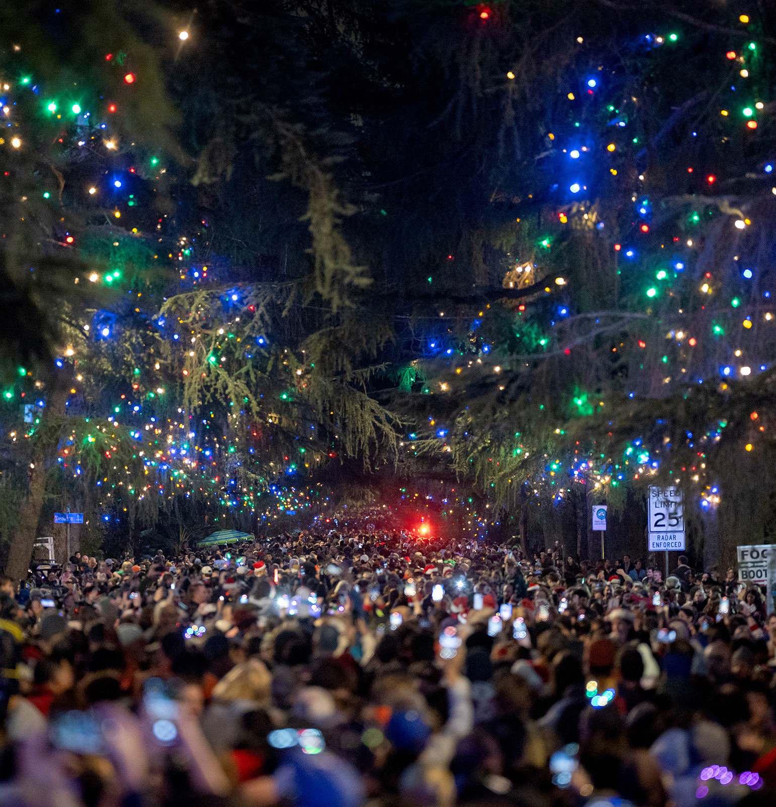 After Eaton fire, Christmas Tree Lane restores community's holiday spirit