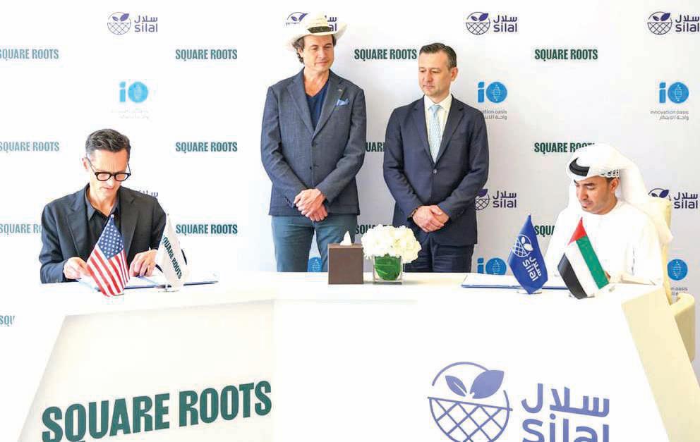 Partnership formed to accelerate climate-smart desert agriculture