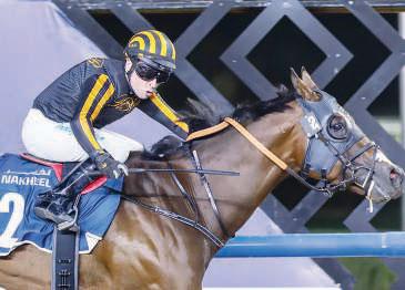 Seemar's Drew's Gold sparkles in Meydan meet