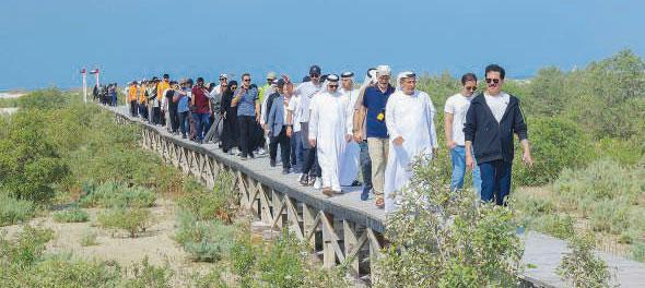 DEWA plants 600 new mangrove trees