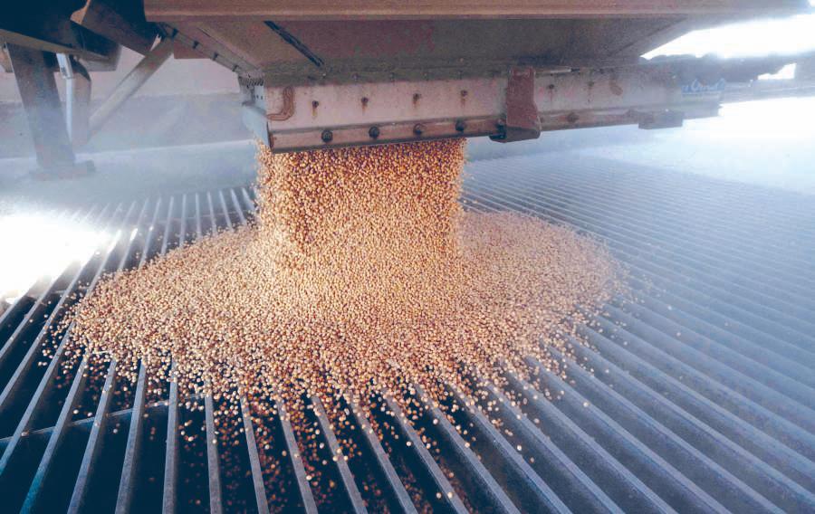 Soya firms to abandon Amazon protection agreement in Brazil
