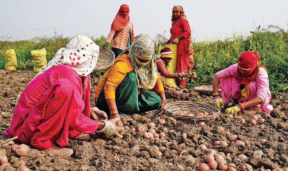 India's 7.4% GDP growth shatters estimates amid global trade strains