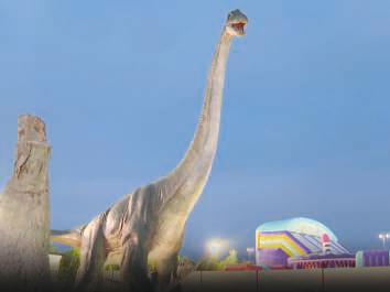Festival hosts 'Rare Species Reserve'