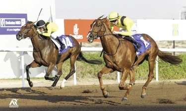 Jebel Ali set for exciting Mile Prep Stakes showdown