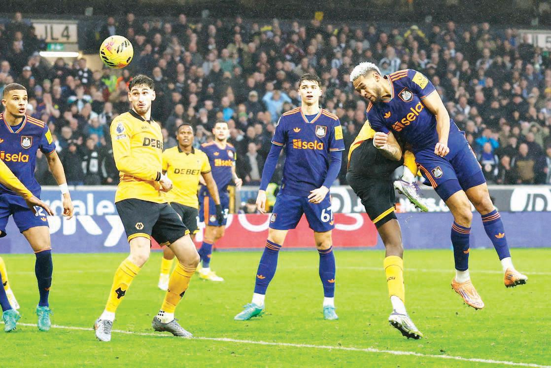 Bottom side Wolves hold Newcastle to draw to extend unbeaten run