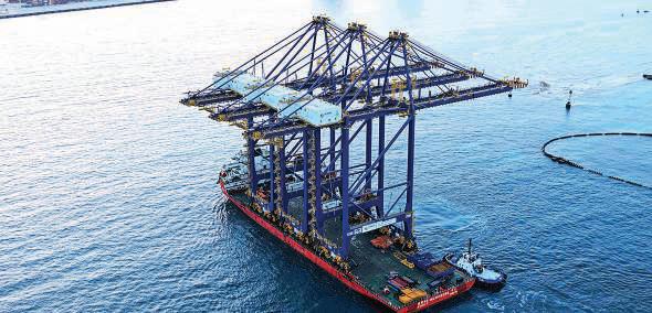DP World supports Red Sea trade