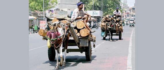 Heatwave grips Delhi-NCR, rain likely today