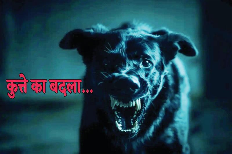 कुत्ते ने लिया बदला, 11 घंटे में मालिक को ढूंढ़ा फिर कार में मारी खरोंचे ही खरोंचे