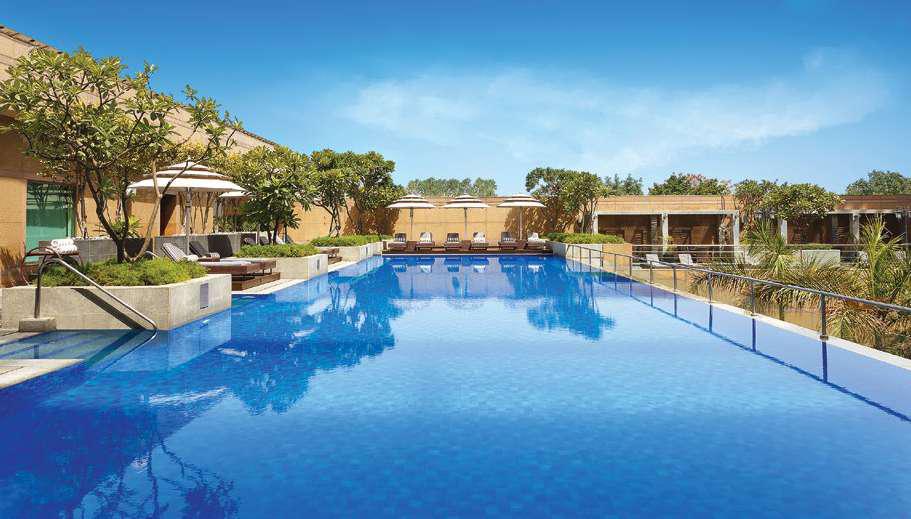 REJUVENATE YOUR SENSES