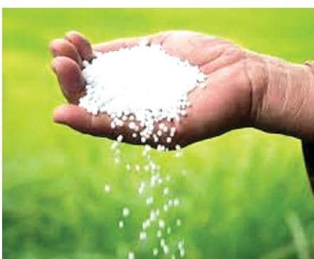 రాష్ట్రానికి 10లక్షల టన్నుల యూరియా 