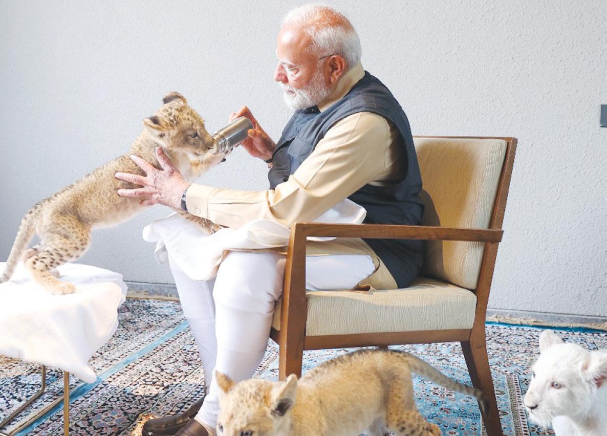 పులిపిల్లలతో సరదాగా గడిపిన ప్రధాని