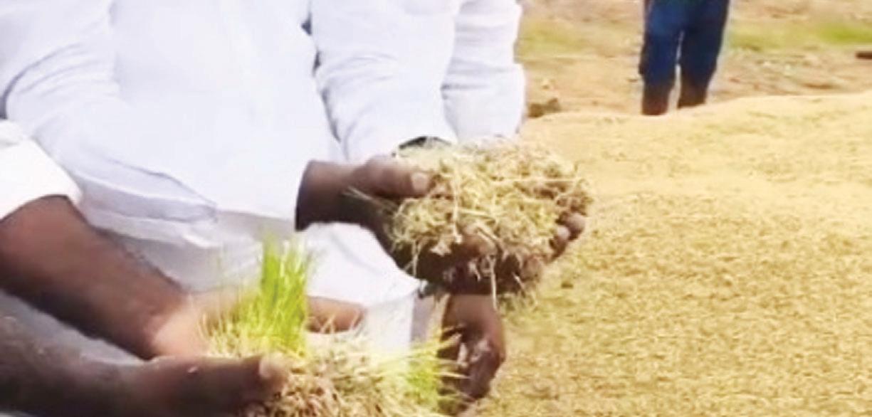 రైతన్నల ఆరిగోస..