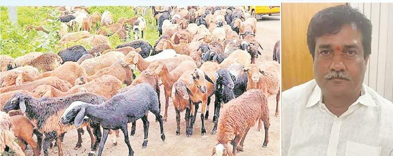 యాదవులను.. యాదవుడే ముంచుడాయే?