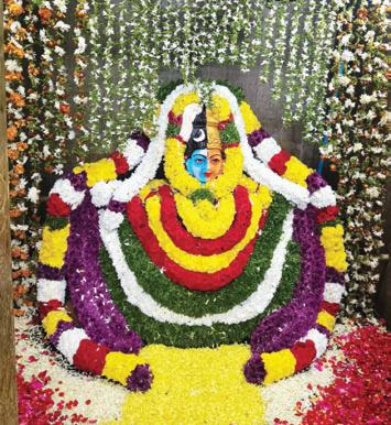 అర్ధనారీశ్వర రూపంలో దర్శనం