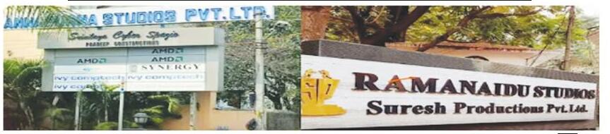 భారీగా పన్నుల ఎగవేత