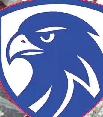 గ్రేట్ ఈగిల్ టీమ్