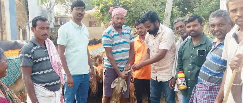 మూగజీవాలకు నులిపురుగుల మందు పంపిణీ