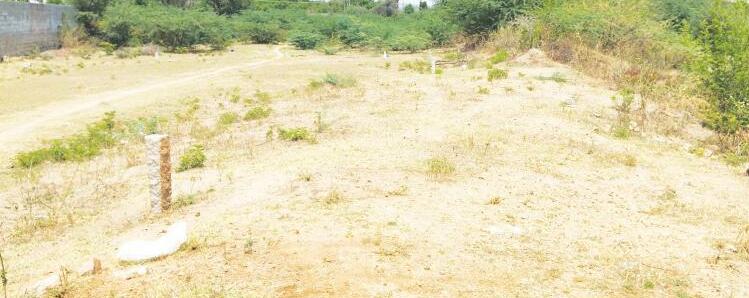 కామాయకుంటను కాజేశారు.