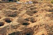 अफवाह उड़ी, सोने की खोज में खोदे खेत