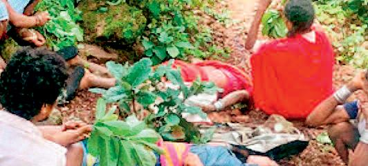 गाज गिरने से युवती सहित तीन की मौत