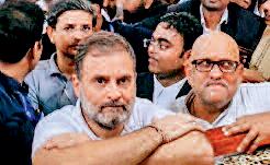 राहुल ने कोर्ट में किया सरेंडर, मिली जमानत