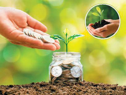 ग्रीन एफडी: सुरक्षित निवेश के साथ पर्यावरण संरक्षणमें भी करें योगदान