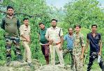 छाल के जंगलों में बाघ की धमक से दहशत, वन विभाग ने जारी किया अलर्ट