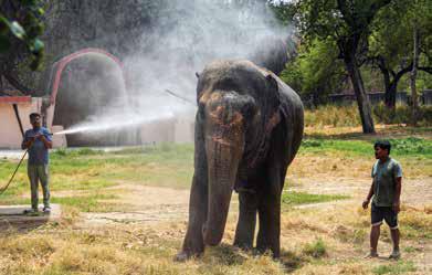 National Zoological Park launches advance ticket reservation system