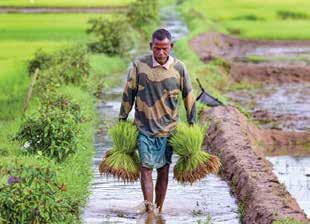 Breaking Free from GDP Trap