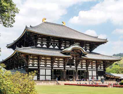 A Wonderland of Dualities