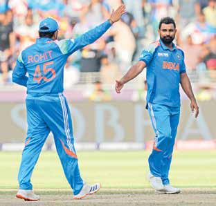 Appetiser before main course