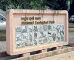 Delhi zoo to receive smooth-coated otters after 2 decades