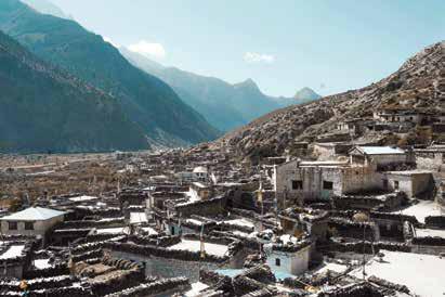 Echoes of a Quaint Vibrance